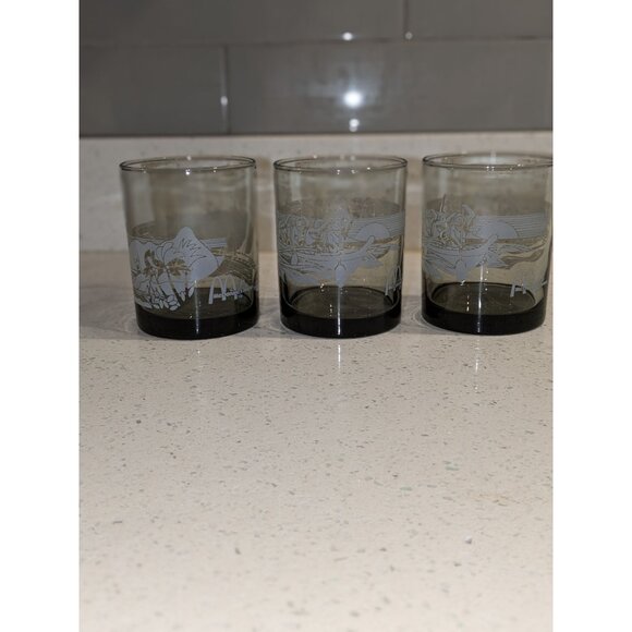 McDonald's Other - McDonald's Hawaii promotional Libby glasses